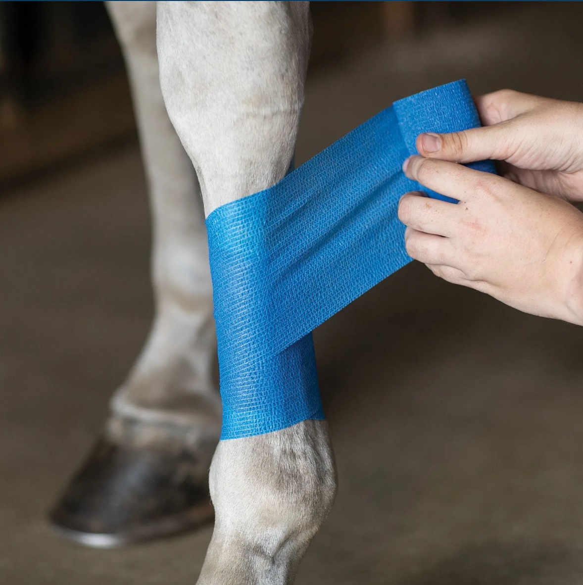hoof  care  Vet Wrap Cohesive Bandage 